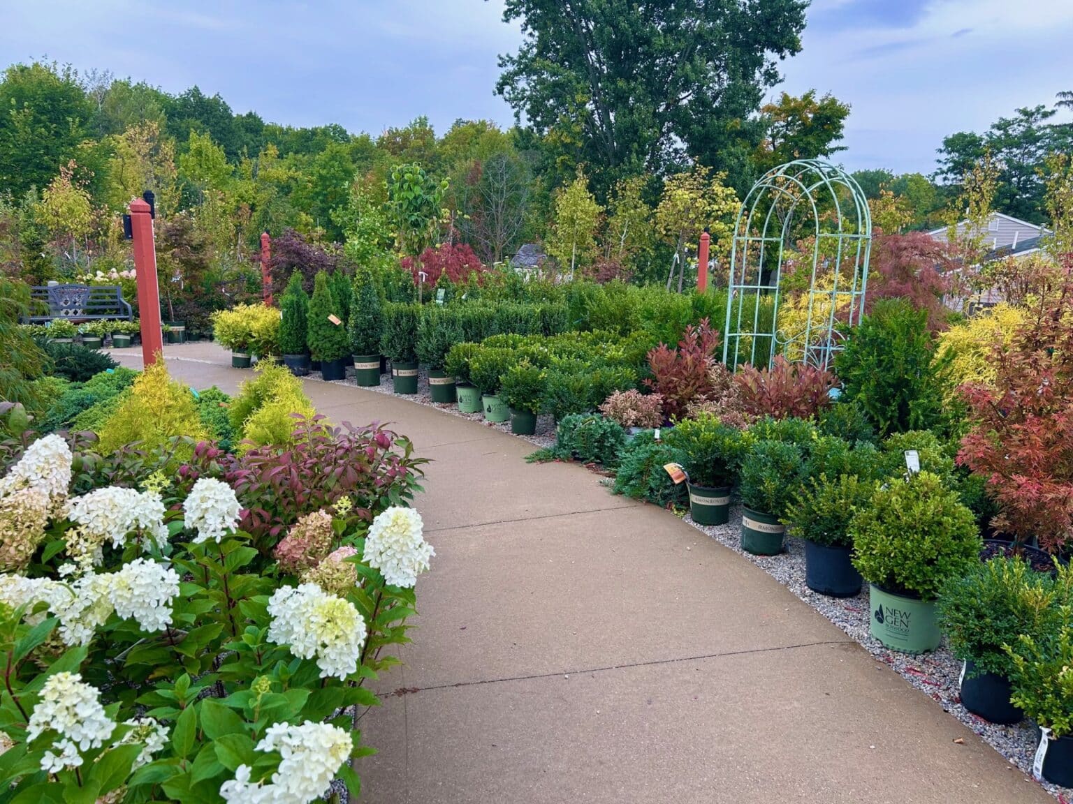 Landscape Shrubs & Bushes | Bremec Garden Centers