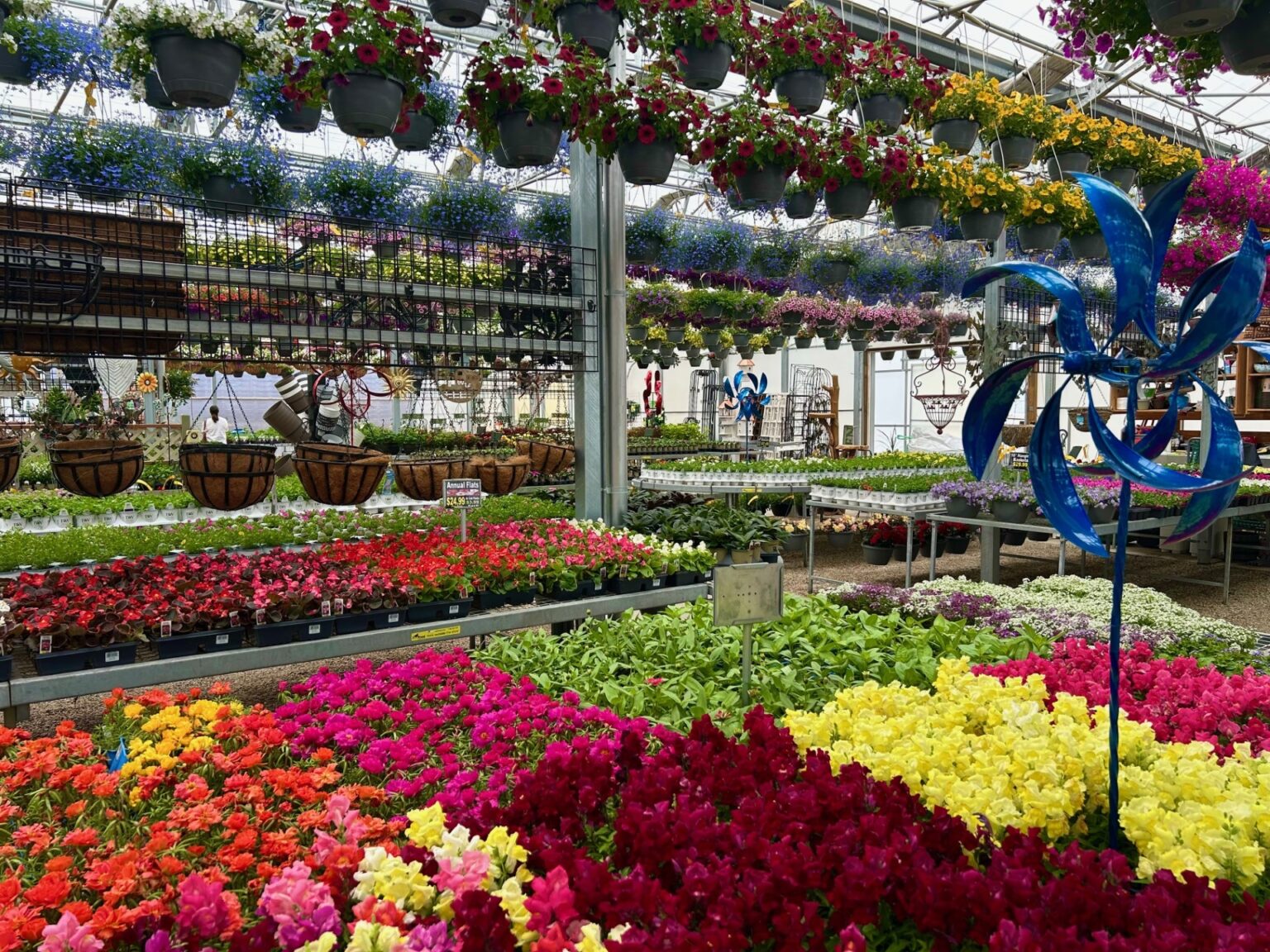 Concord | Bremec Garden Centers