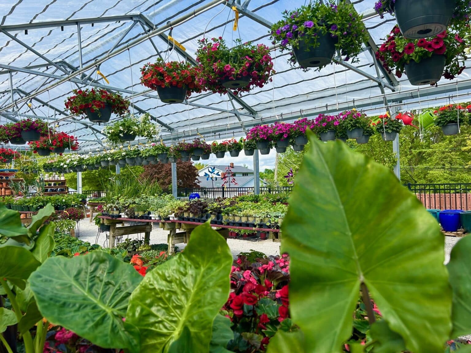 Highland Heights Location | Bremec Garden Centers